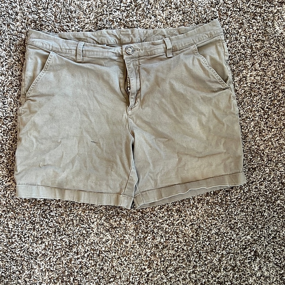 Chubbies tan shorts
